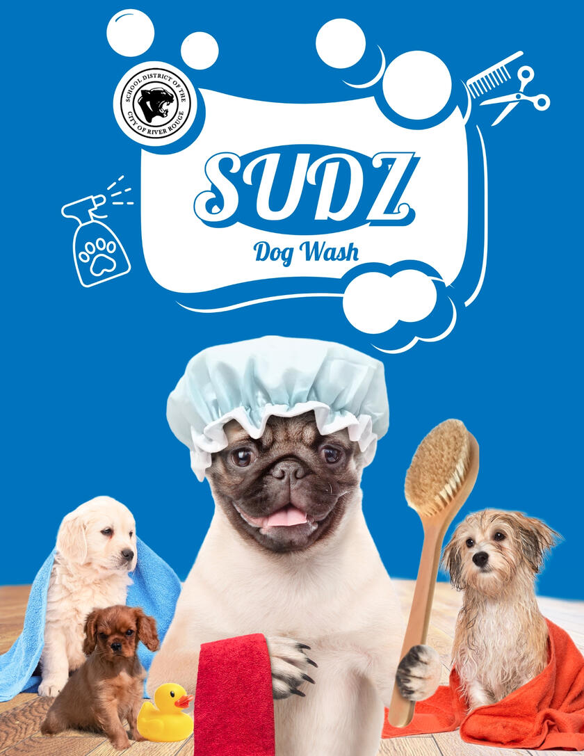 Grooming Salon Door Wrap Design